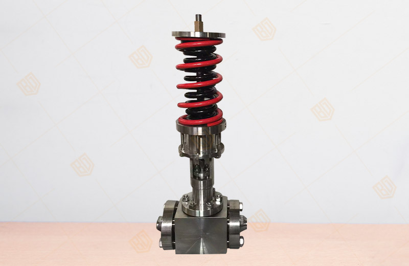 �����{���y 